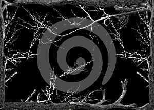 Dark background with tree trunk and branches borders