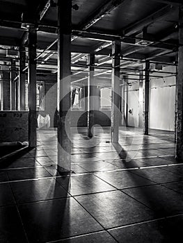 Dark backlight interior with columns