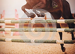 A dark bay racehorse with a rider in the saddle jumps over a green wooden barrier at a show jumping competition. Horse riding