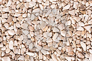 Dark beige fine pebbles texture. High resolution photo for background.