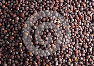 Dark (black) mustard seeds - close up view