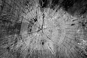 Dark black wood texture background.