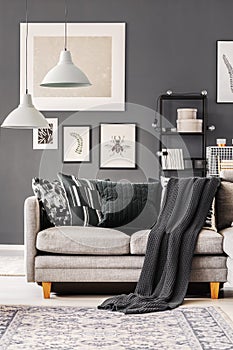 Dark blanket and pillows on grey corner sofa in contemporary living room interior with grey wall