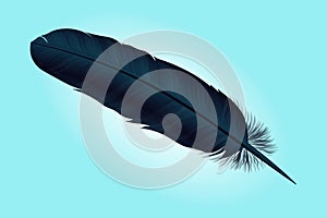 Dark blue bird feather on a background. Vector