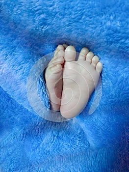 Dark blue blanket in Newborn baby a feet covered