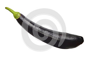 Dark blue eggplant isolated on white background.