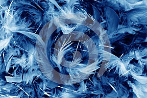 dark blue feathers detail background