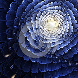 Dark blue fractal flower, digital artwork