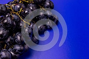 Dark blue grapes on a bright blue background