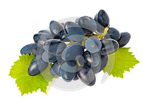 Dark blue grapes isolated on white background