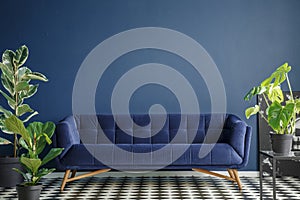 Dark blue living room interior