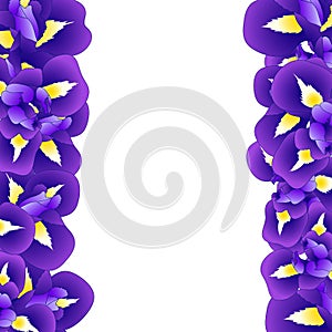 Dark Blue Purple Iris Flower Border. Vector Illustration