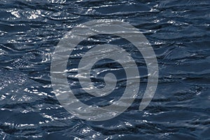 Dark rippling water surface background