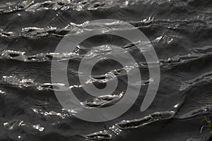 Dark rippling water surface background