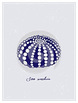 Dark Blue Sea Urchin with white spots. Vintage style poster. Hand drawn graphic design collection. Vector illustration