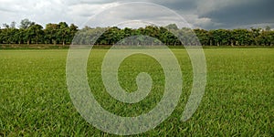 Dark blue sky before raining.