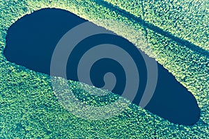 The dark blue surface of the taiga lake is surrounded by dark green forest.