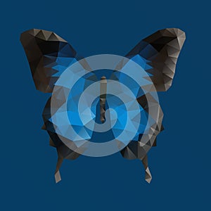 Dark blue vector butterfly in polygonal technique