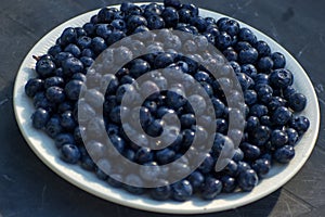 Dark Blueberries on Plate