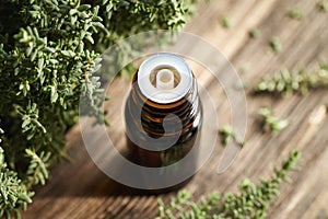A dark bottle of aromatherapy essential oil with fresh thyme