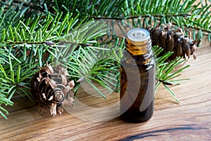 A dark bottle of Douglas fir essential oil with Douglas fir bran