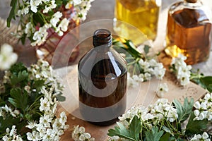 A dark bottle of herbal tincture with fresh hawthorn or Crataegus laevigata flowers in spring