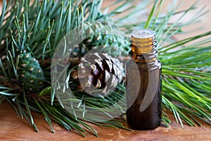 A dark bottle of pine essential oil with pine twigs