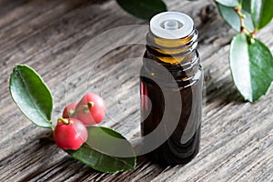 A dark bottle of wintergreen essential oil on a wooden background