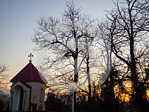 Dark branches against the sky. Church building. Orthodoxy. Tree silhouette. Evening nature