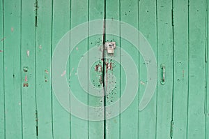 Dark bright lemonade lime green wooden old door with a metallic h