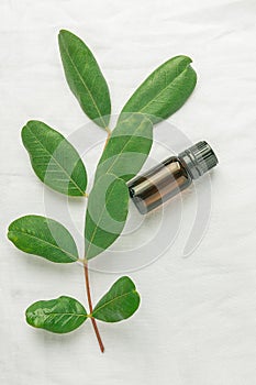 Dark Brown Bottle with Essential Oil Tree Branch with Fresh Green Leaves on White Linen Cotton Fabric Background. Ayurveda