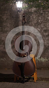 The dark brown cello was propped on a wooden chair