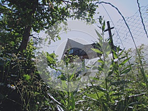 Dark brown country house behind the fence behind green plants, bushes, trees and grass on a sunny summer day