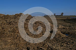 Dark brown humus in forest soil background