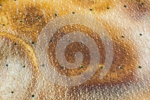 Dark brown leather background texture