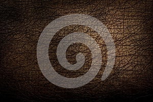Dark brown leather background. Texture