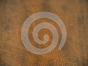 Dark brown leather background texture