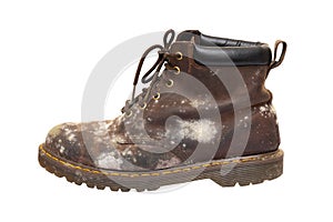 Dark brown leather boot with too much white fungus isolated on white background