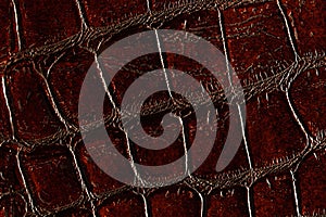 Dark brown leather texture