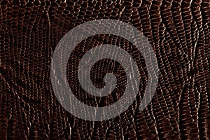 Dark brown leather texture