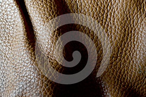Dark brown leather texture background, closeup. Reptile skin, macro.