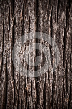 Dark brown scratched wooden cutting board. Wood texture.