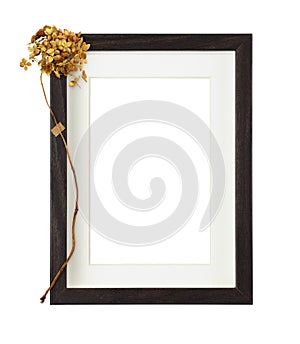 Dark brown wooden rectangle frame with white passe-partout and dry golden hydrangea flower isolated on white background