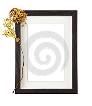 Dark brown wooden rectangle frame with white passe-partout and dry golden hydrangea flower isolated on white background