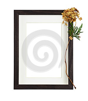 Dark brown wooden rectangle frame with white passe-partout and dry golden hydrangea flower isolated on white background
