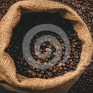 Dark burlap sack holding freshly harvested coffee beans