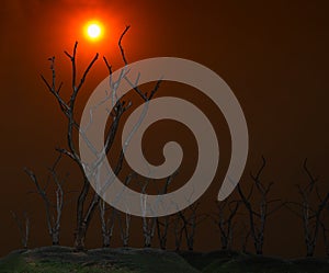 Dark and burned of dead tree on twilight sky with sunset background