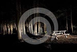 Dark Camp Site with Picnic Table