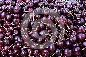 Dark cherries pattern. Fruits background