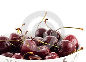 Dark cherries on a white background